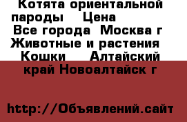 Котята ориентальной пароды  › Цена ­ 12 000 - Все города, Москва г. Животные и растения » Кошки   . Алтайский край,Новоалтайск г.